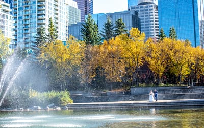 Getting Started: Your First Steps for Planning a Wedding in Calgary